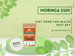 Moringa Gum-GuideToMoringaGum